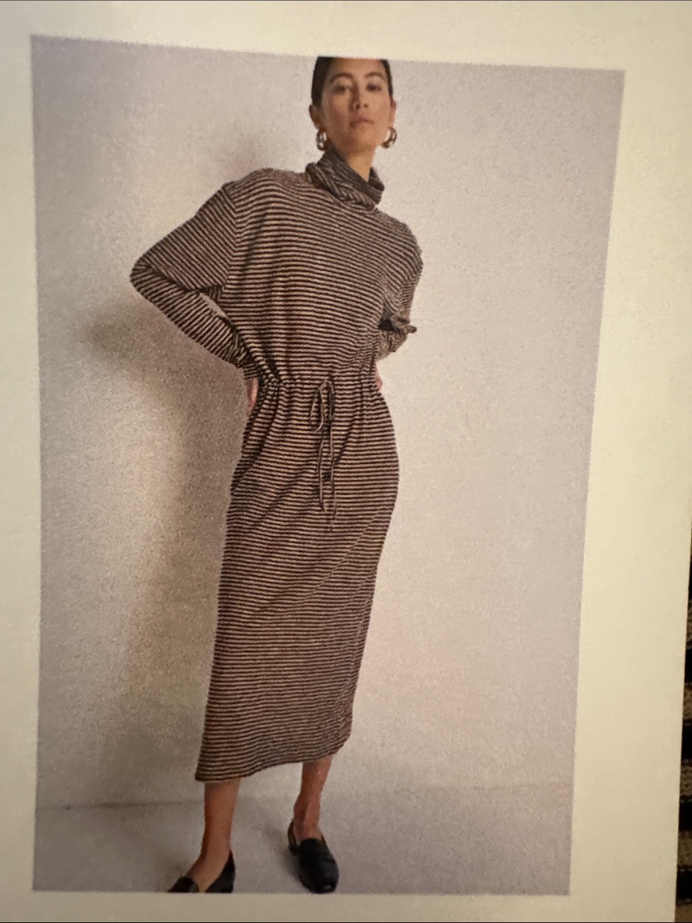Nation LTD Black & Brown Striped Long-Sleeve Turtleneck Midi Dress